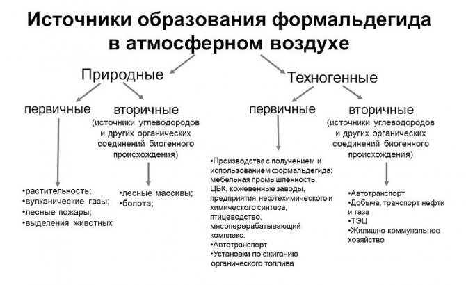 Виды и размеры потолочной плитки